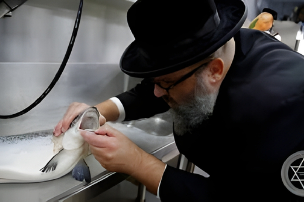 Một chuyên gia người Do Thái đang kiểm tra nguyên liệu tại cơ sở sản xuất