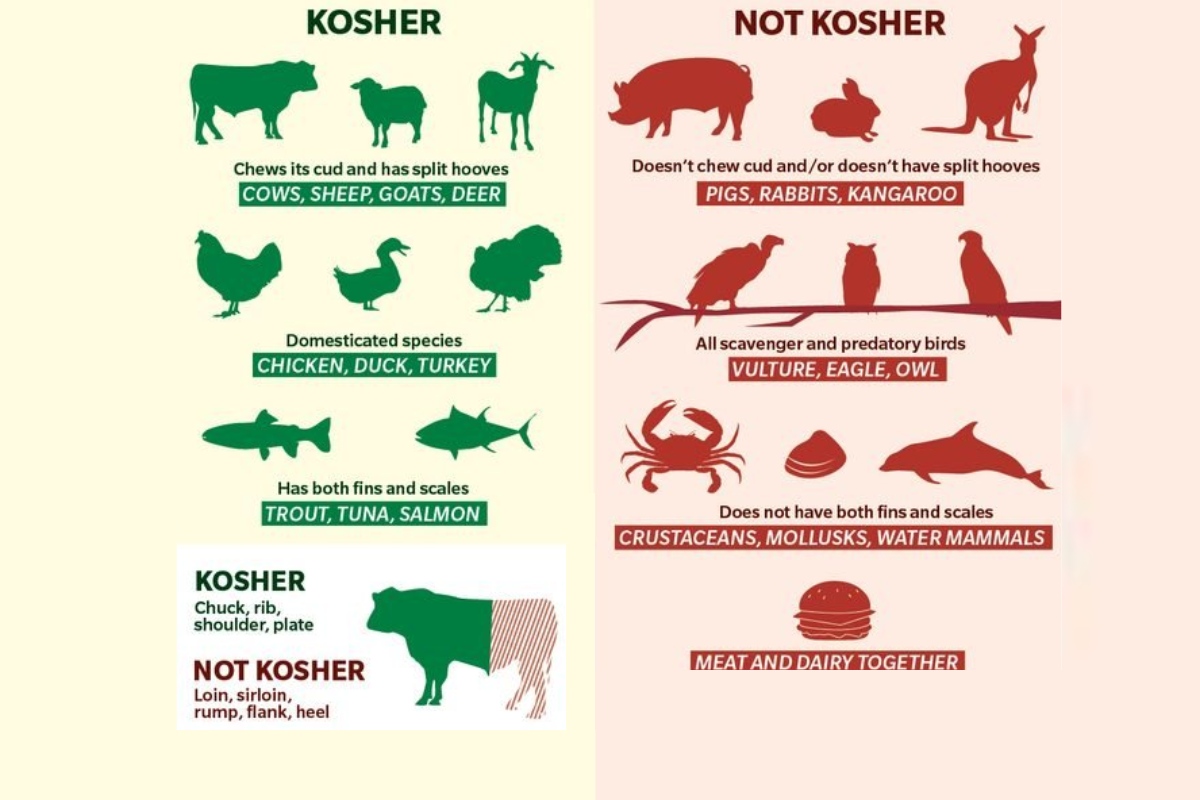 Một số thực phẩm phải và không phải Kosher