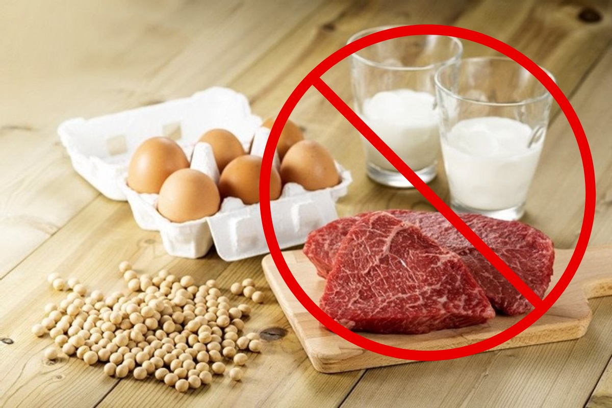 Quy tắc Kosher không được kết hợp thịt và sữa chung với nhau