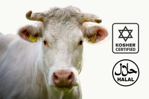 Sự khác nhau phân biệt giữa chứng chỉ Halal và Kosher