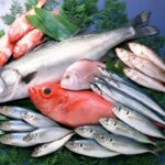 Thủy Sản Kosher Cần Đáp Ứng Tiêu Chuẩn Quan Trọng Nào?