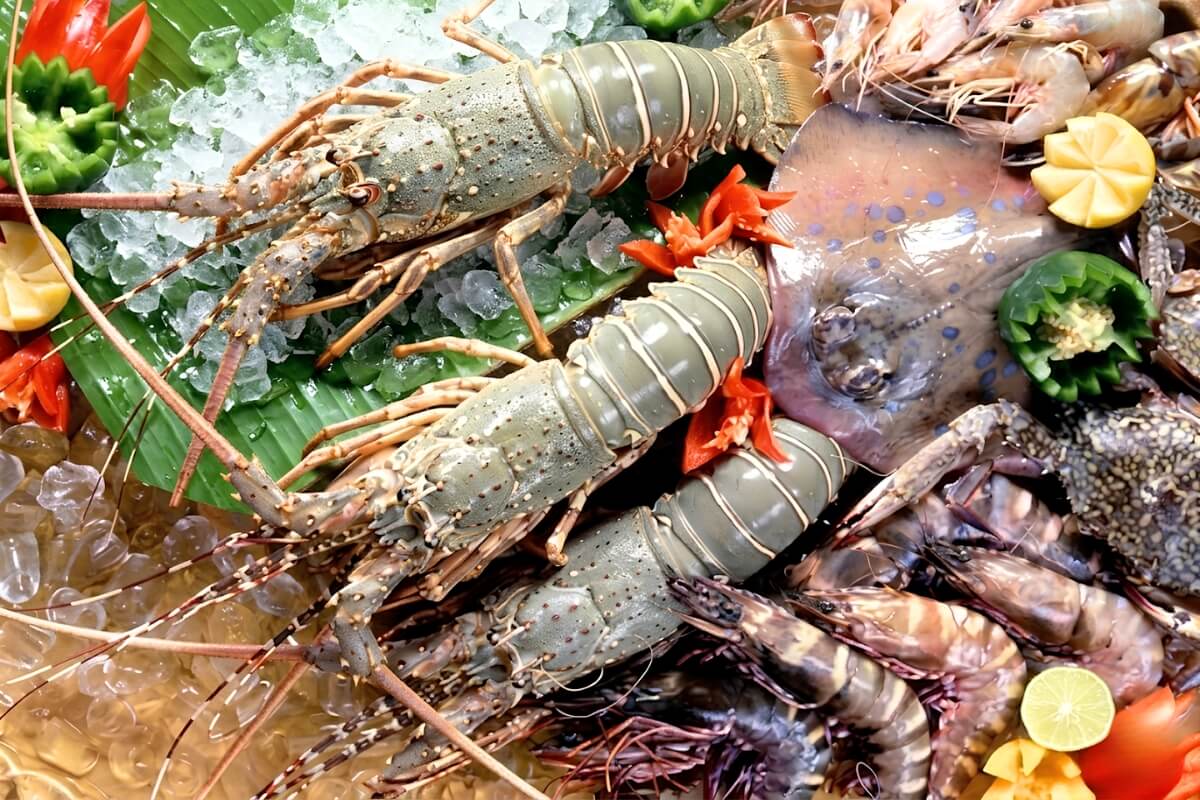 Những loại như tôm, cua, ốc không phải là thủy sản Kosher