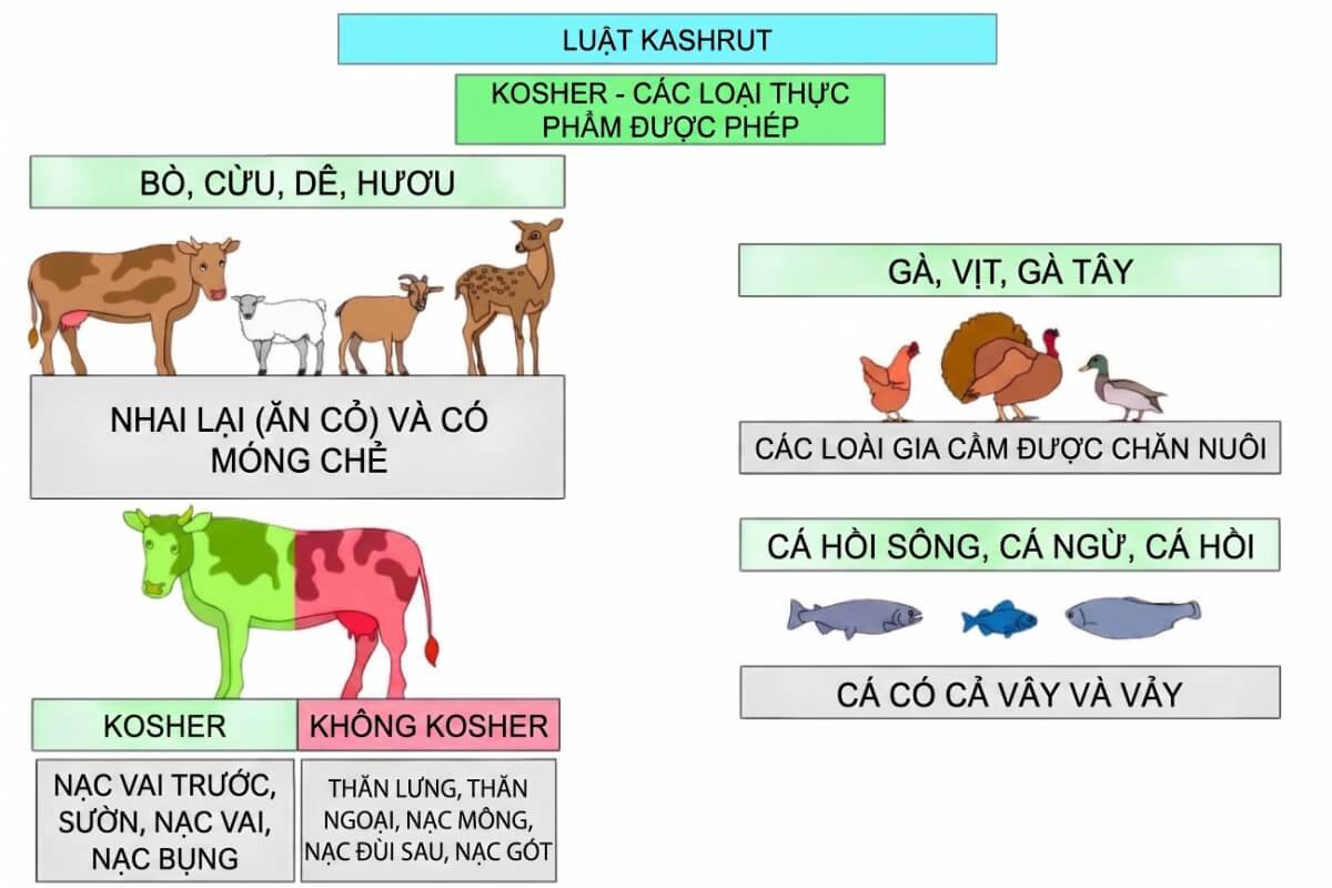 Những loại thực phẩm được phép sử dụng theo luật Kashrut