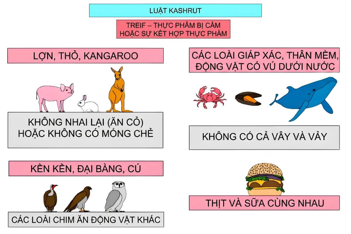 Những loại thực phẩm không được phép sử dụng theo luật Kashrut