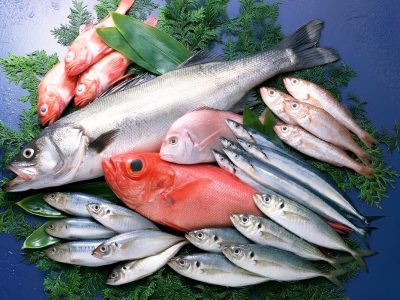 Các loại cá có vây và vảy dễ tách được xem là thủy sản Kosher